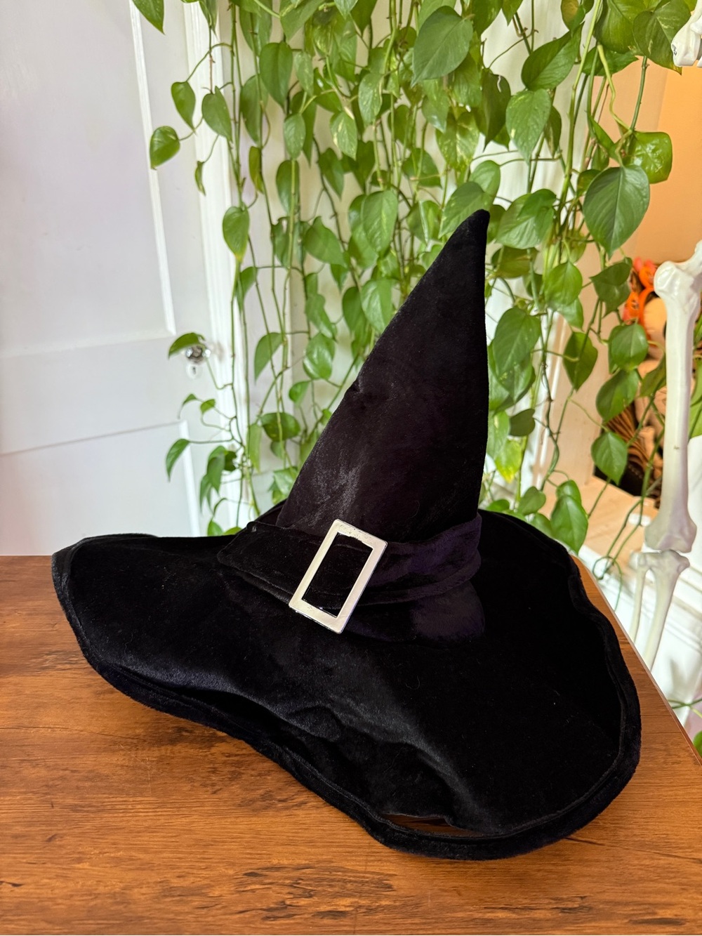 Black Witch Hat adult Spirit Halloween Costume with Silver Buckle
